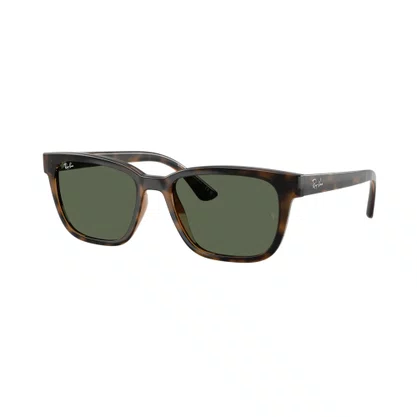Óculos Solar Ray Ban Unissex Marrom Tartaruga