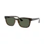 Óculos Solar Ray Ban Unissex Marrom Tartaruga
